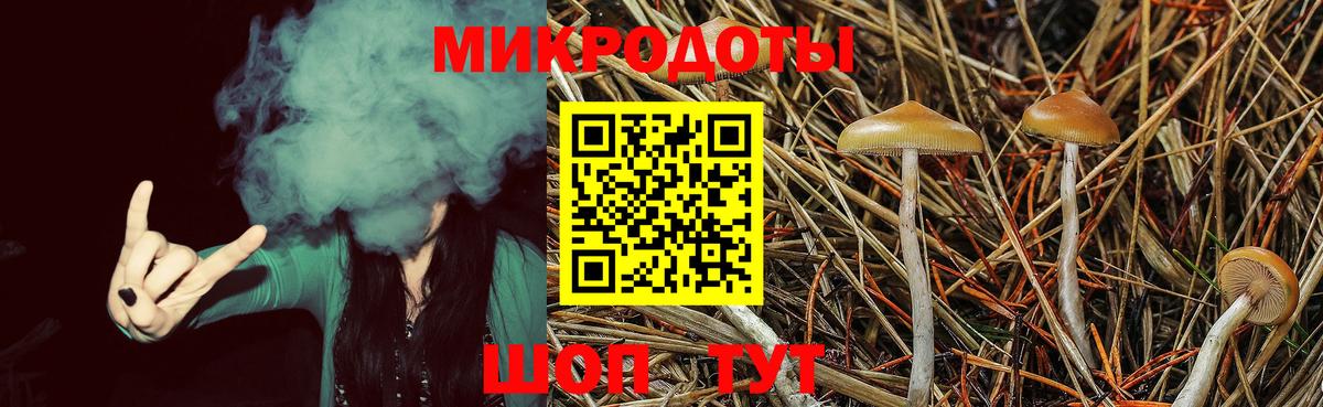 Галлюциногенные грибы мицелий Алексеевка